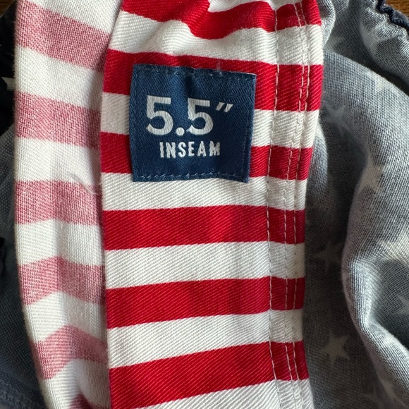 🇺🇸NWT CHUBBIES AMERICAN FLAG SHORTS/ M - Picture 3 of 7